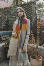 Load image into Gallery viewer, LE Stripe Scarf
