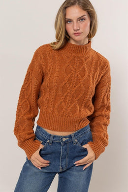HF High Neck Cable Knit Sweater