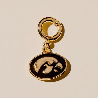 Tiger Hawk Charm