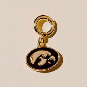 Tiger Hawk Charm