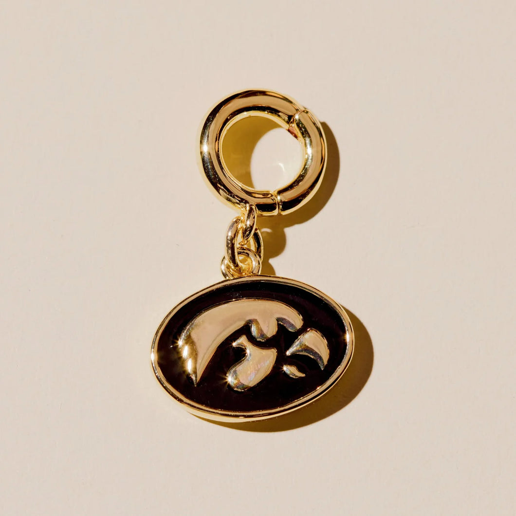 Tiger Hawk Charm