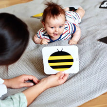 Load image into Gallery viewer, Newborn Contrast Flash Cards