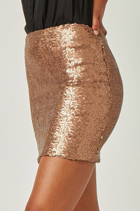 Bronze Sequin Mini Skirt