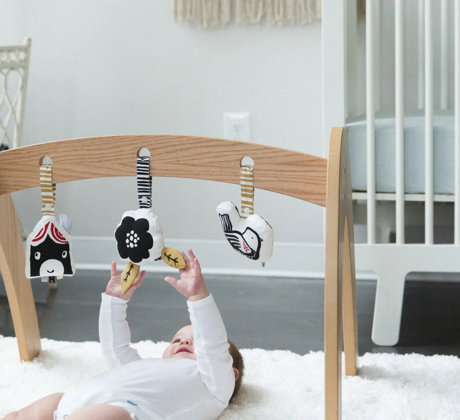 Bird Stroller Toy