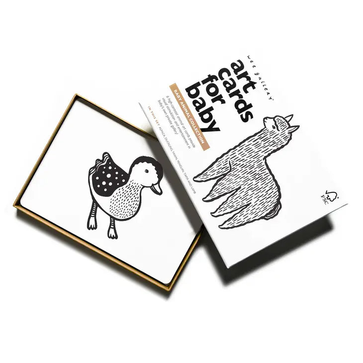 Baby Animal Contrast Cards