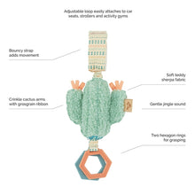 Load image into Gallery viewer, Cactus travel toy