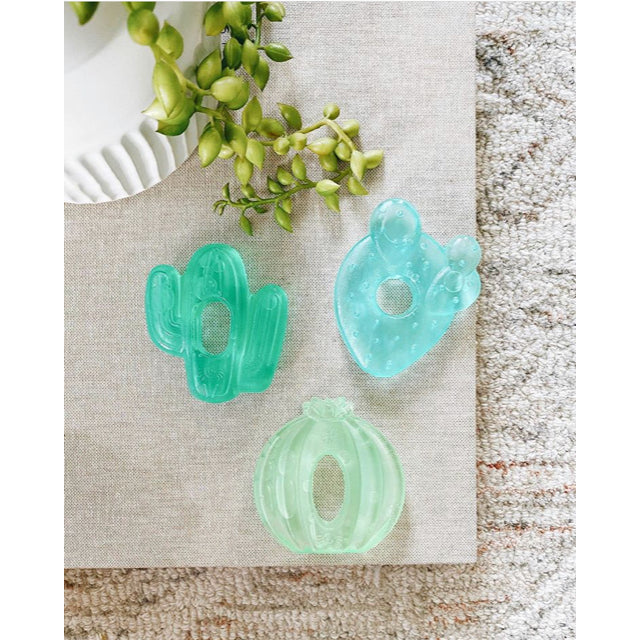 Cactus Cutie Cooler